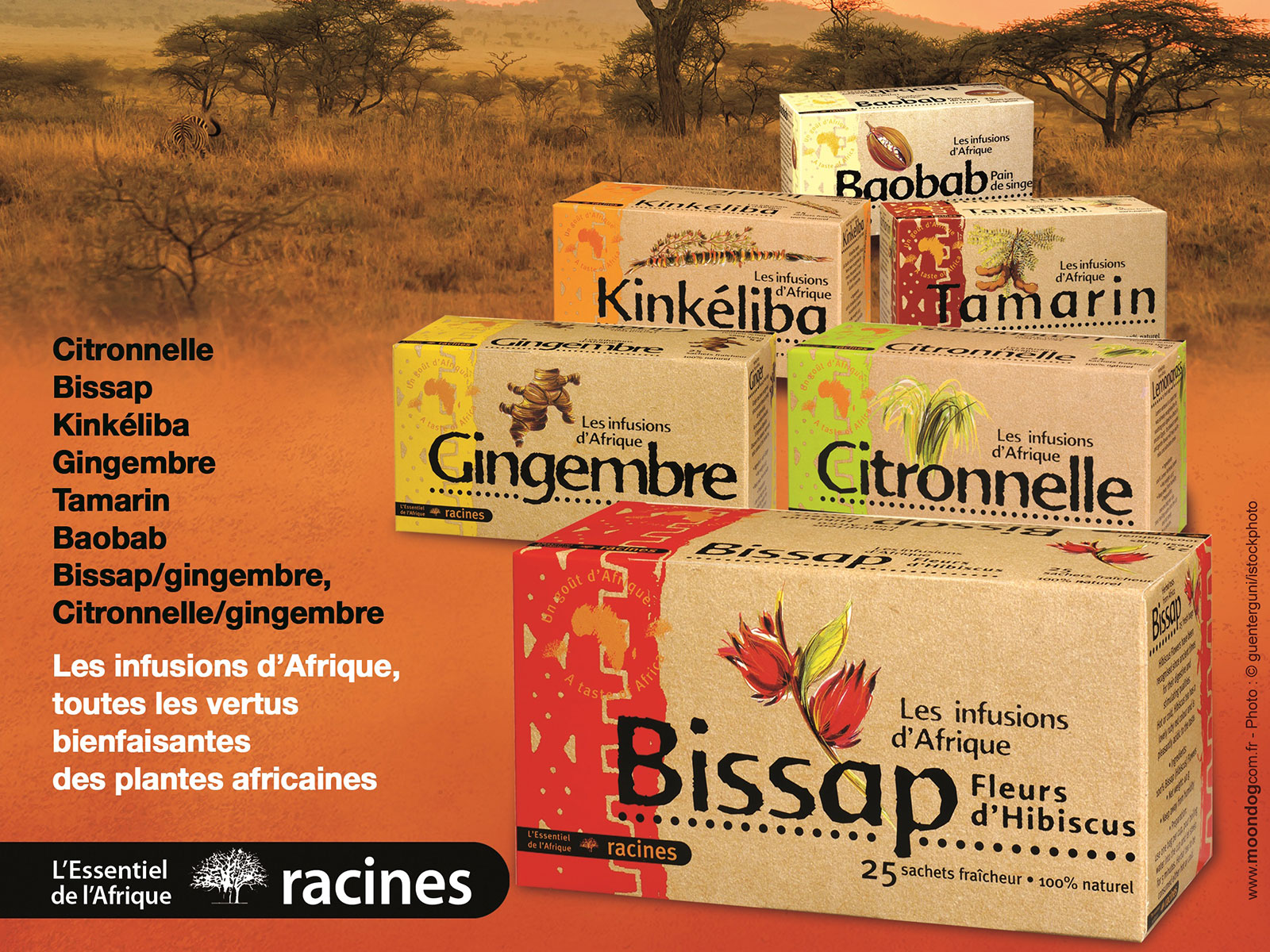 Racines - Produits ethniques - Afrique & Océanie